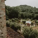 Tenuta Capitolini *