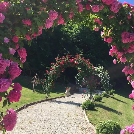 Tenuta Capitolini Collelungo (San Venanzo)
